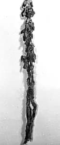 Tassel by Unknown