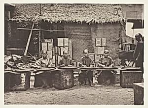 Tea-Picking in Canton by John Thomson