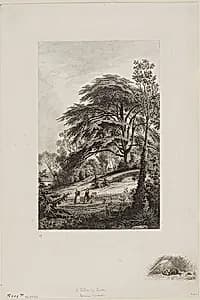 The Cedar of Lebanon by Charles François Daubigny