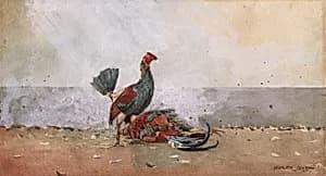 The Cock Fight by Winslow Homer