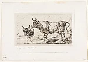The Cow and Ass by Charles Meryon