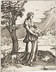 The Cumaean Sybil by Agostino dei Musi