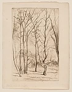The Dam Wood by James McNeill Whistler
