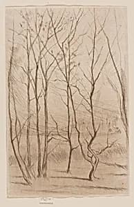 The Dam Wood by James McNeill Whistler
