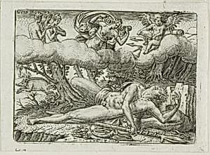 The Death of Adonis