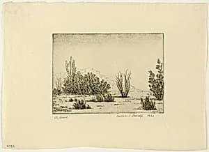 The Desert