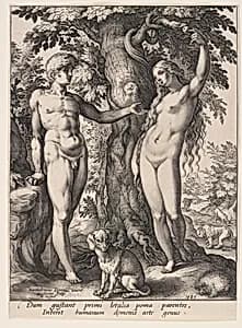 The Fall of Man by Hendrick Goltzius