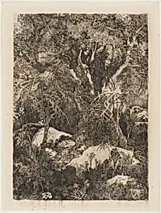 The Forest of Fontainebleau by Rodolphe Bresdin