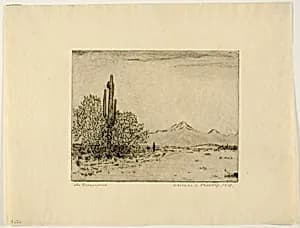 The Greasewood