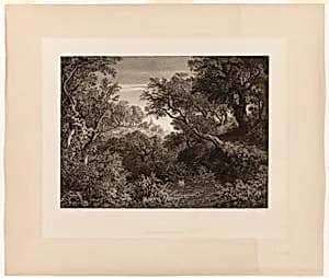 The Large German Landscape