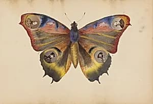 The Madame B Album by Marie-Blanche Hennelle Fournier