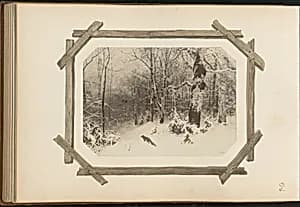 The Madame B Album by Marie-Blanche Hennelle Fournier