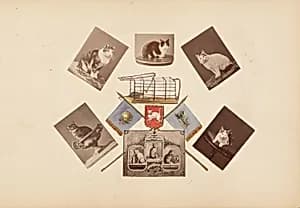 The Madame B Album by Marie-Blanche Hennelle Fournier