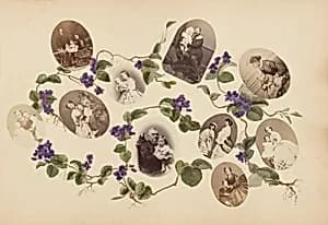 The Madame B Album by Marie-Blanche Hennelle Fournier