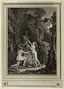 The Scrupulous Nymphs