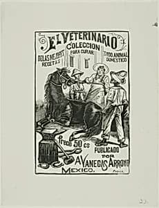 The Veterinarian by José Guadalupe Posada