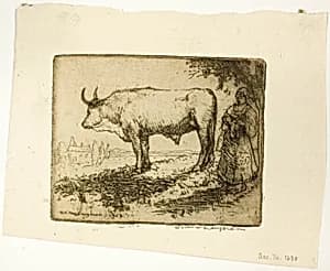 The White Ox by Donald Shaw MacLaughlan
