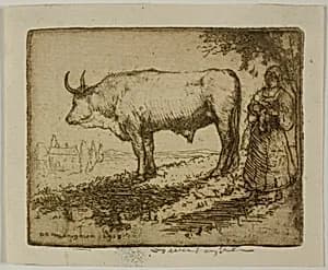 The White Ox by Donald Shaw MacLaughlan