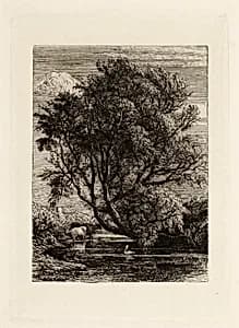 The Willow by Samuel Palmer