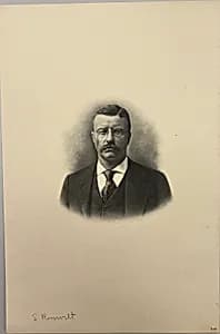 Theodore Roosevelt by Unknown artist