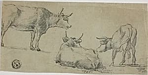 Three Sketches of Cows by Aelbert Cuyp