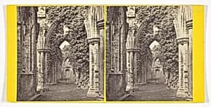 Tintern Abbey: South Aisles by Alexander Wilson
