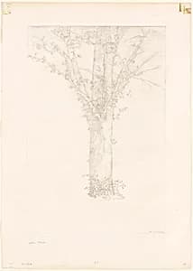 Tree by Odilon Redon