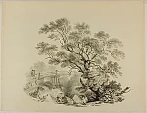 Tree and Footbridge
