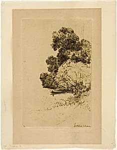 Twickenham Bushes by Francis Seymour Haden