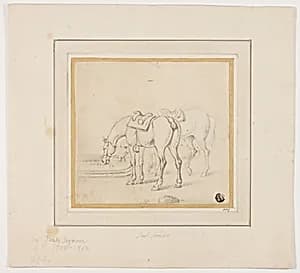Two Horses Drinking by James Seymour