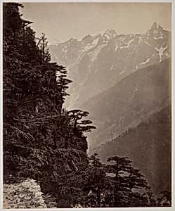 Untitled by Samuel Bourne
