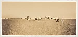 Untitled by Gustave Le Gray