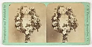 Untitled by C.H. Freeman