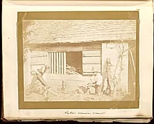 Untitled by William Henry Fox Talbot