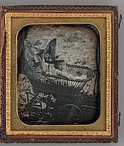 Untitled (Portrait of Baby) by Unknown Maker