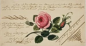 Untitled Valentine (Pink Flower) by Unknown artist