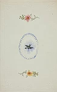 Untitled Valentine (Silver Dove) by George Kershaw