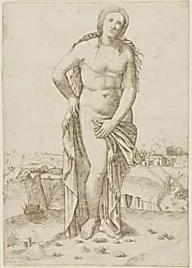 Venus by Giovanni Antonio da Brescia