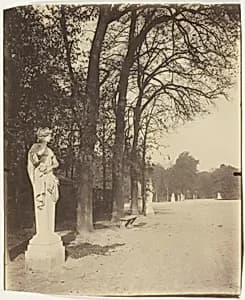 Versailles, Coin de Parc by Jean-Eugène-Auguste Atget