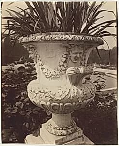 Versailles, Vase by Jean-Eugène-Auguste Atget