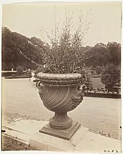 Versailles, Vase par Ballin by Jean-Eugène-Auguste Atget