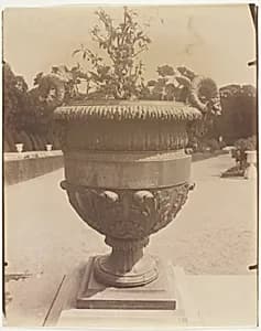 Versailles, Vase par Ballin by Jean-Eugène-Auguste Atget