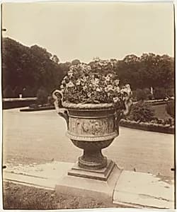 Versailles, Vase par Ballin by Jean-Eugène-Auguste Atget