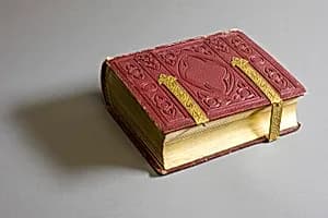 Victorian Album by Unknown