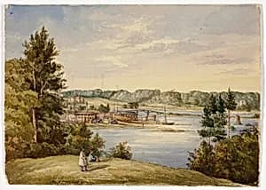 View from Sydney by Elizabeth Murray