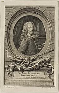Voltaire by Etienne Ficquet