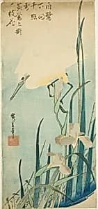 White heron and iris by Utagawa Hiroshige