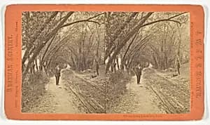 Willow Road, Lanesville, Mass. by J.W. & J.S. Moulton