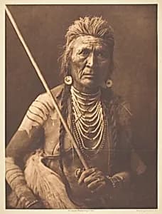 Wolf - Apsaroke by Edward S. Curtis