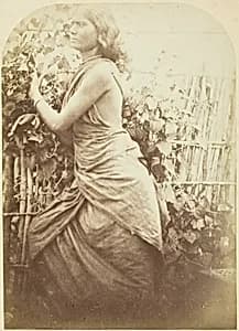 Woman, Ceylon by Julia Margaret Cameron